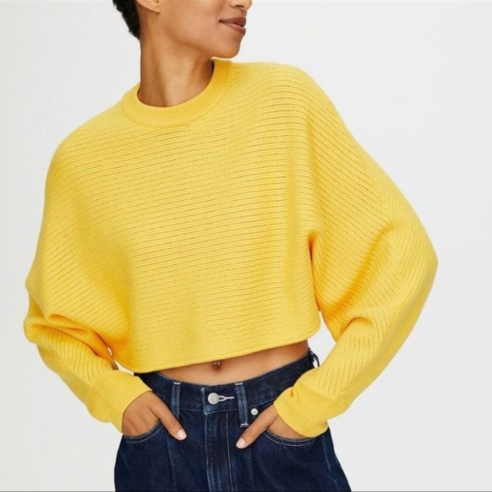Wilfred Free Lolan Cropped Sweater xs